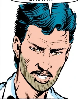 Chip
