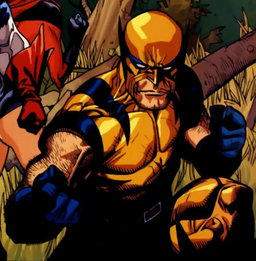 Wolverine (Earth-616)