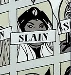 Storm (Earth-10076)