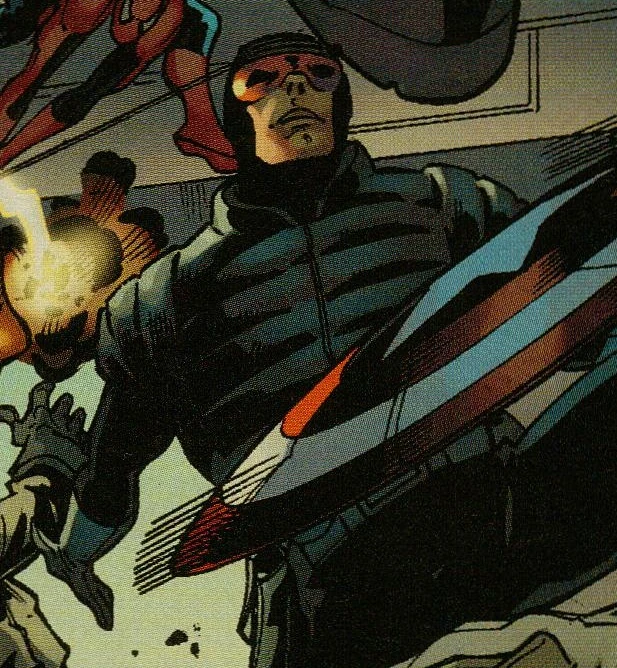 Paladin (Earth-11418)