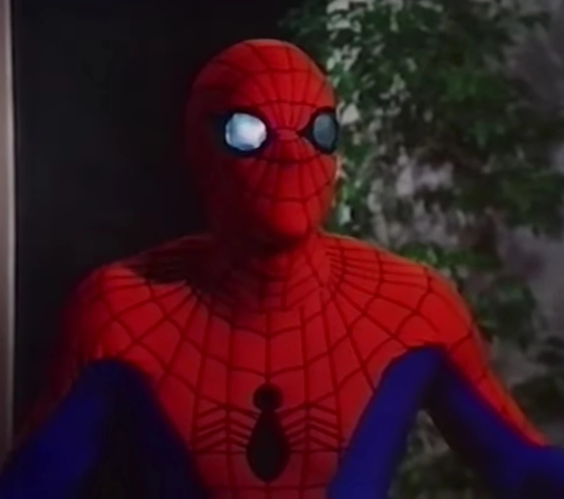 Spider-Man (Earth-730911)