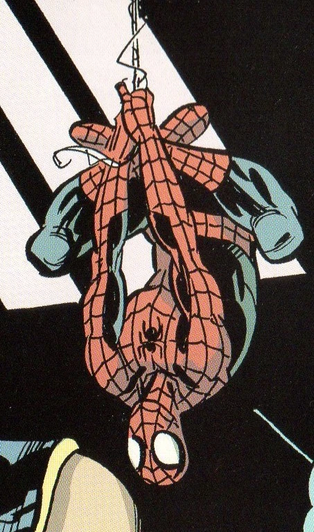 Spider-Man (Earth-TRN1212)