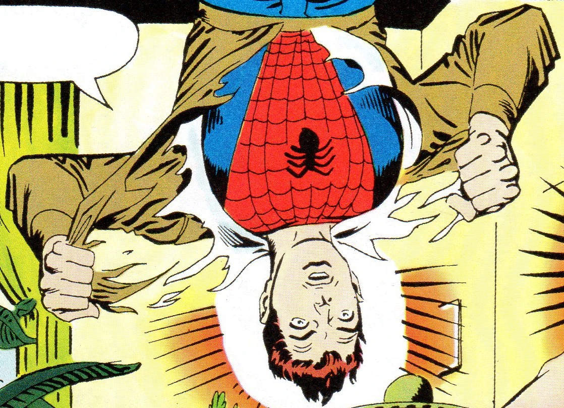 Spider-Man (Earth-TRN1246)