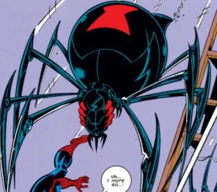 Black Widow Spider Slayer
