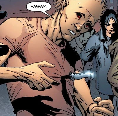 The Porcupine (Earth-58163)