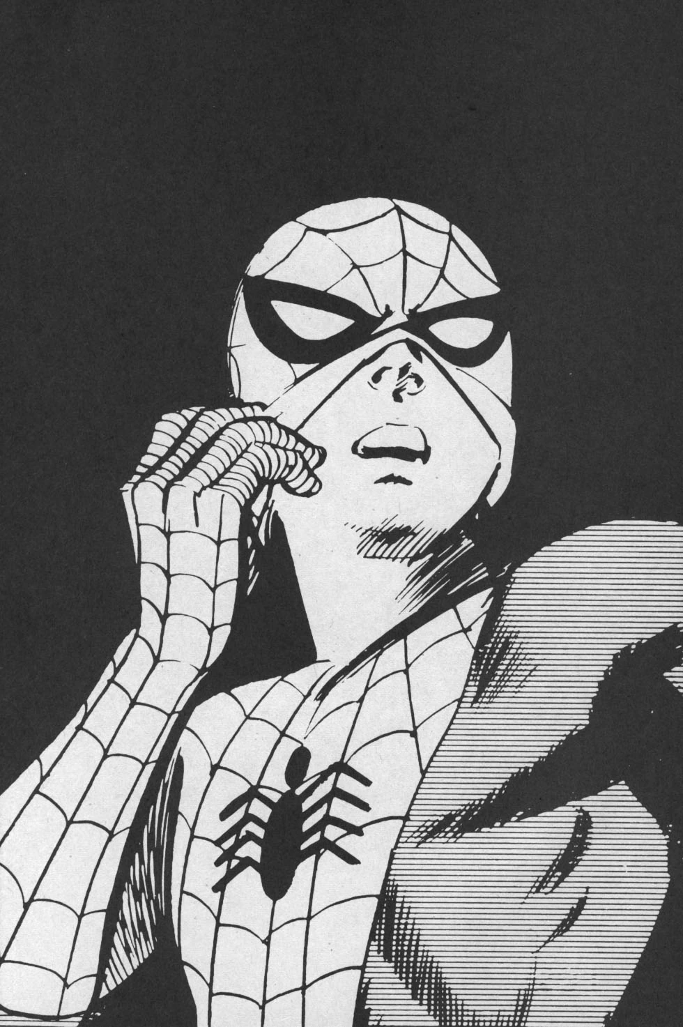 Spider-Man (Earth-70019)