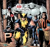 Alpha Flight (Earth-901237)