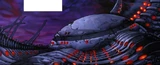 Homeworld of Subject X
