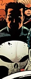 Punisher (Earth-12177)