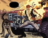 Ghost Rider (Earth-616)