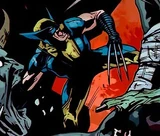 Wolverine (Earth-10349)
