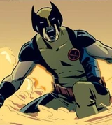 Wolverine (Earth-12101)
