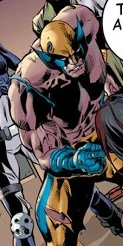 Wolverine (Earth-12422)