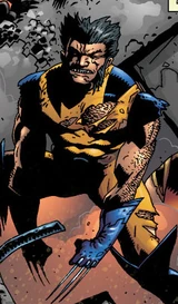 Wolverine (Earth-42777)