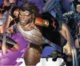Commander Wolverine (Earth-58163)