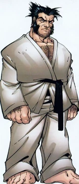 Wolverine (Earth-600123)