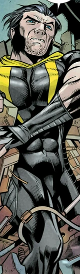 Wolverine (Earth-61112)
