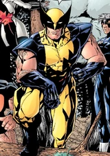 Wolverine (Earth-901237)