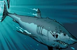 Megalodons