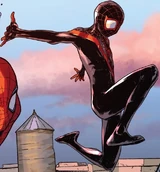 Spider-Man (Earth-61313)