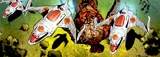 Mutantes Sans Frontieres (Earth-616)