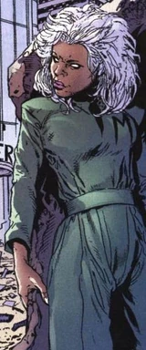 Storm (Earth-811)