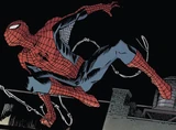 Spider-Man (Earth-11171)
