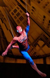 Spider-Man (Earth-11714)