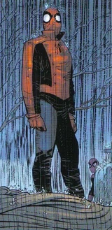 Spider-Man (Earth-312500)