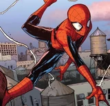 Spider-Man (Earth-61313)