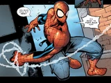 Spider-Man (Earth-6215)
