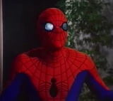 Spider-Man (Earth-730911)