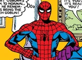 Spider-Man (Earth-7736)