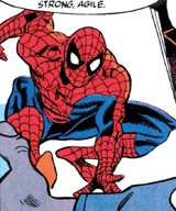 Spider-Man (Earth-928)