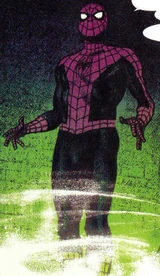 Spider-Man (Earth-TRN1221)