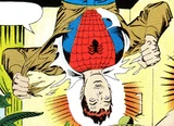 Spider-Man (Earth-TRN1246)