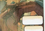 Spider-Man (Earth-TRN1273)