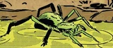 Radioactive Spider (Earth-51920)