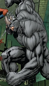 Rhino