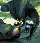 Rocket Raccoon