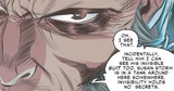 Invisible Woman (Earth-802)