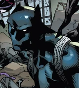 Black Panther (Earth-14110)