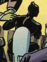 Black Panther (Earth-TRN1375)
