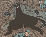 The Void (Earth-20007)
