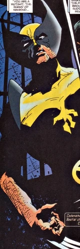Wolverine (Earth-20007)