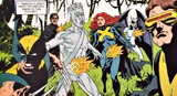 X-Men (Earth-20007)