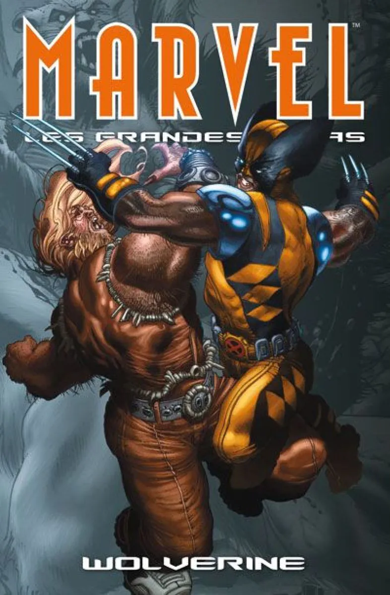 Marvel - Les Grandes Sagas (1°)