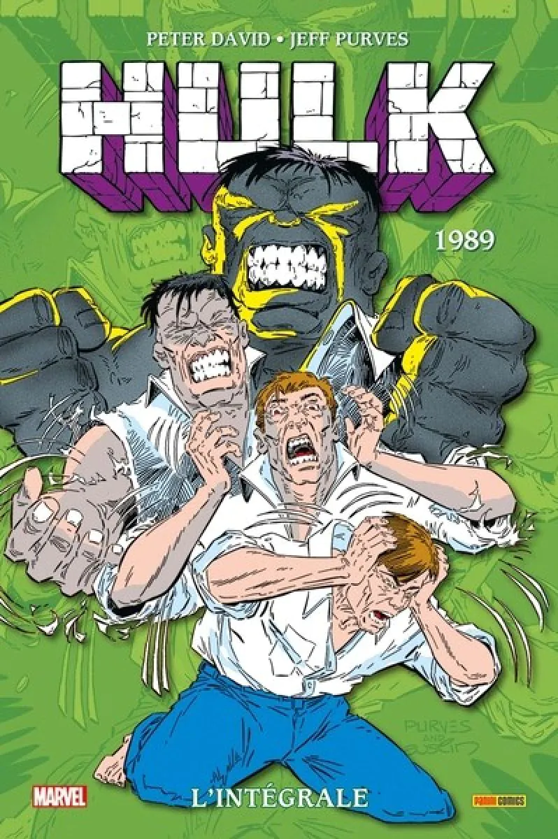 Hulk : L'Intégrale