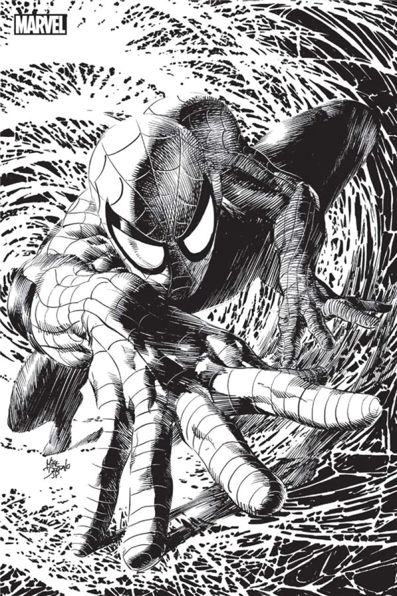 Spider-Man (6° série)