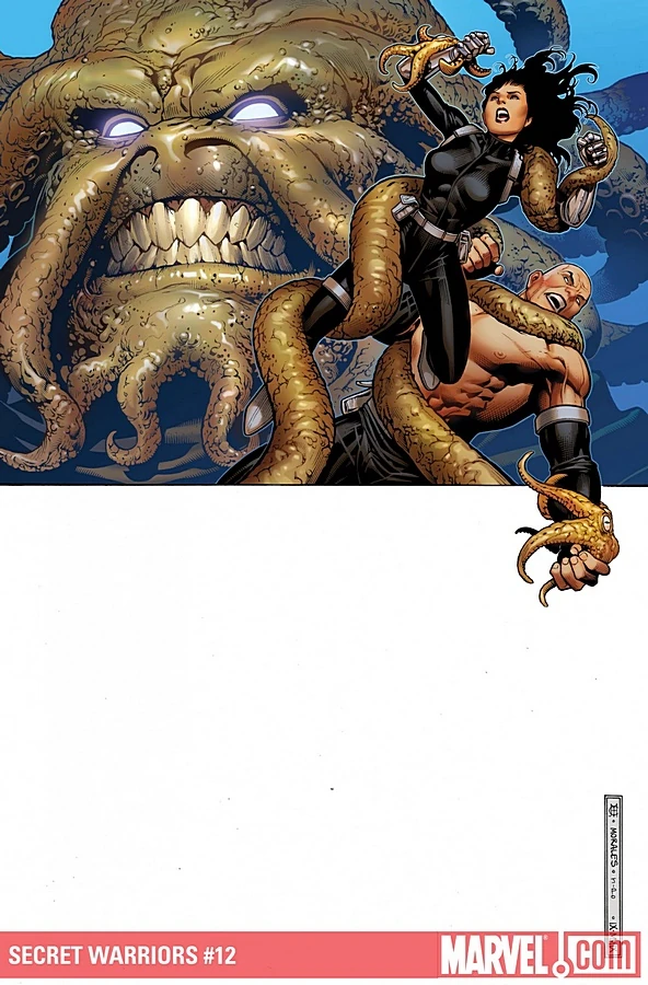Secret Warriors (2009) #12